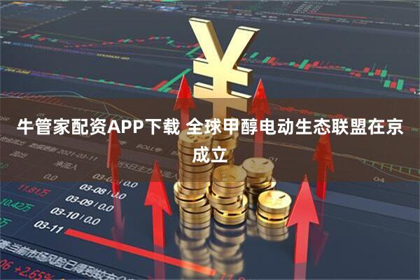 牛管家配资APP下载 全球甲醇电动生态联盟在京成立