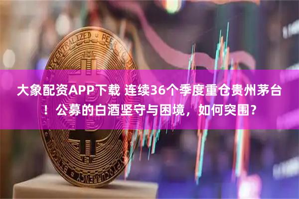 大象配资APP下载 连续36个季度重仓贵州茅台！公募的白酒坚守与困境，如何突围？